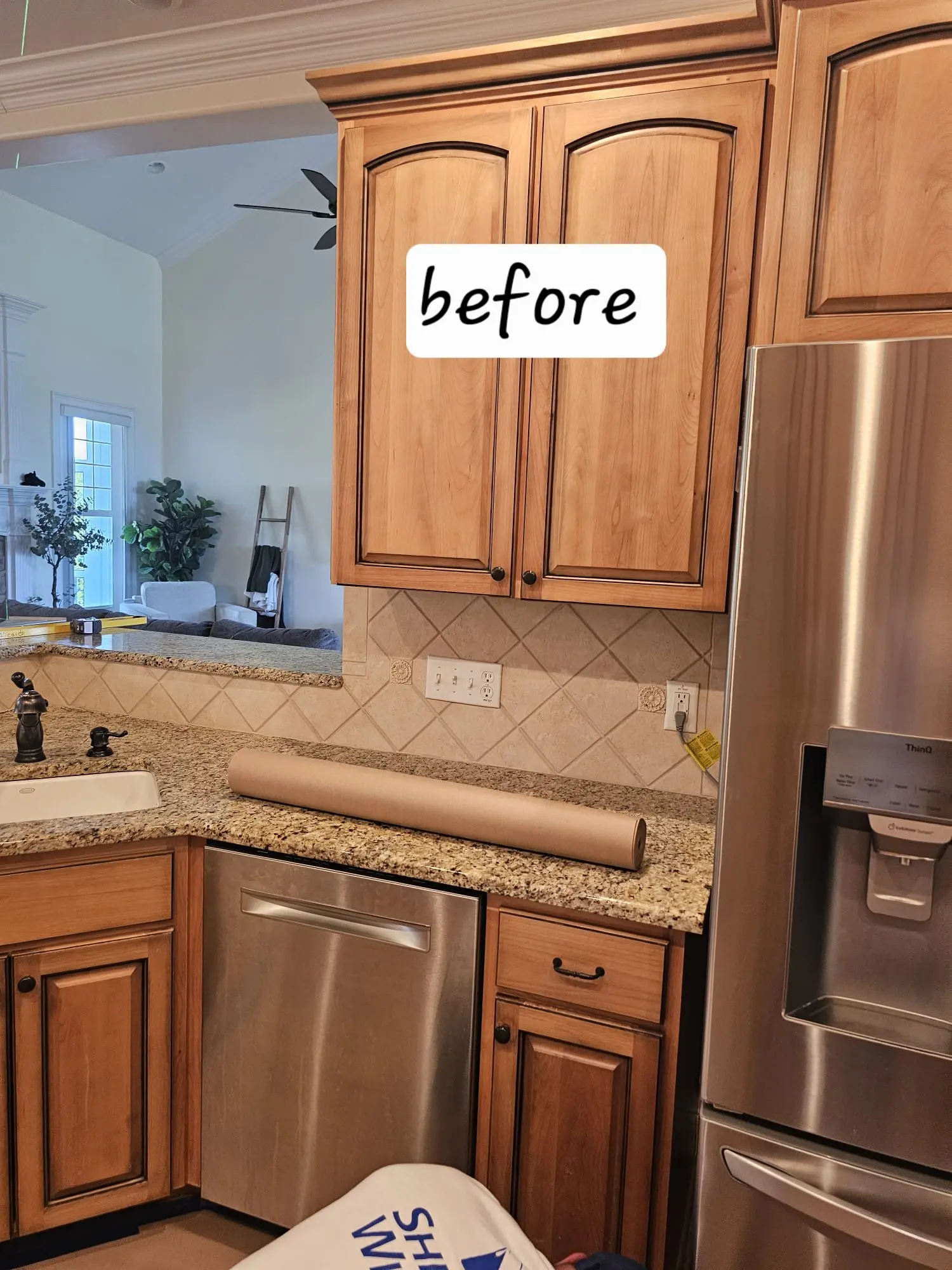 Kitchen cabinet transformation before photo 6