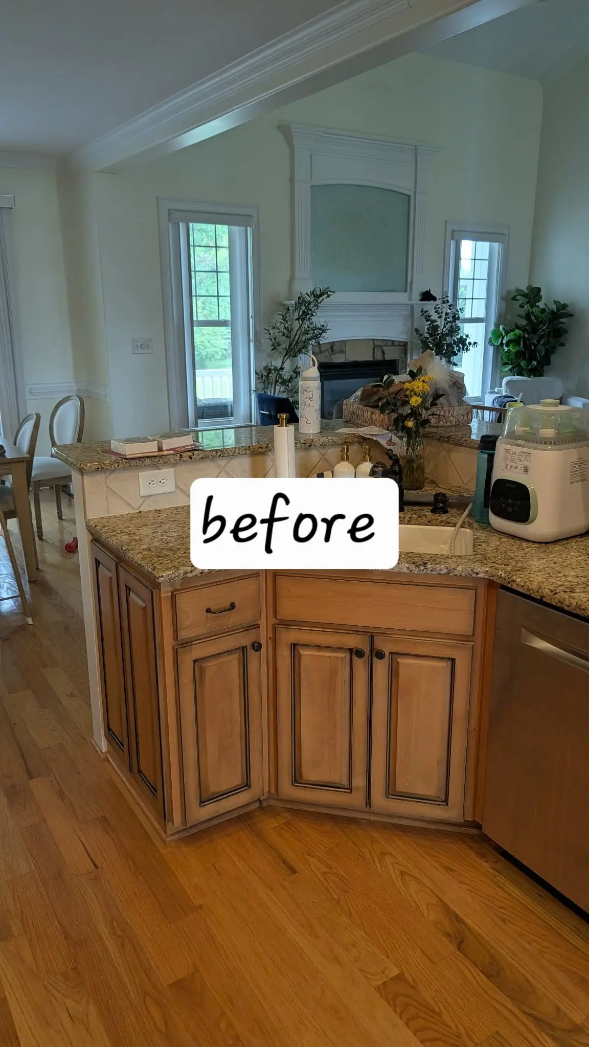 Kitchen cabinet transformation before photo 8